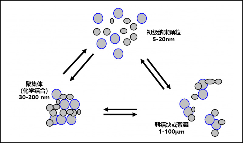 顏料顆粒、絮凝和團聚之間的關(guān)系