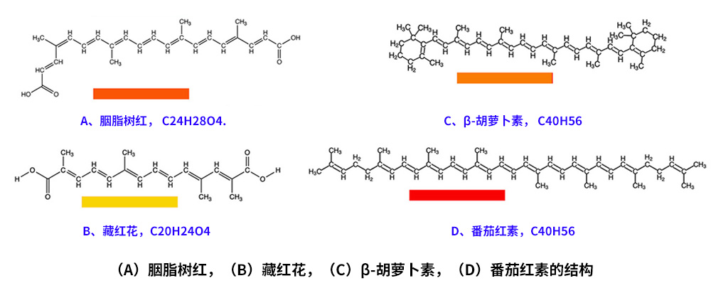 藏紅花、胭脂樹(shù)紅、β-胡蘿卜素、番茄紅素的化學(xué)結(jié)構(gòu)